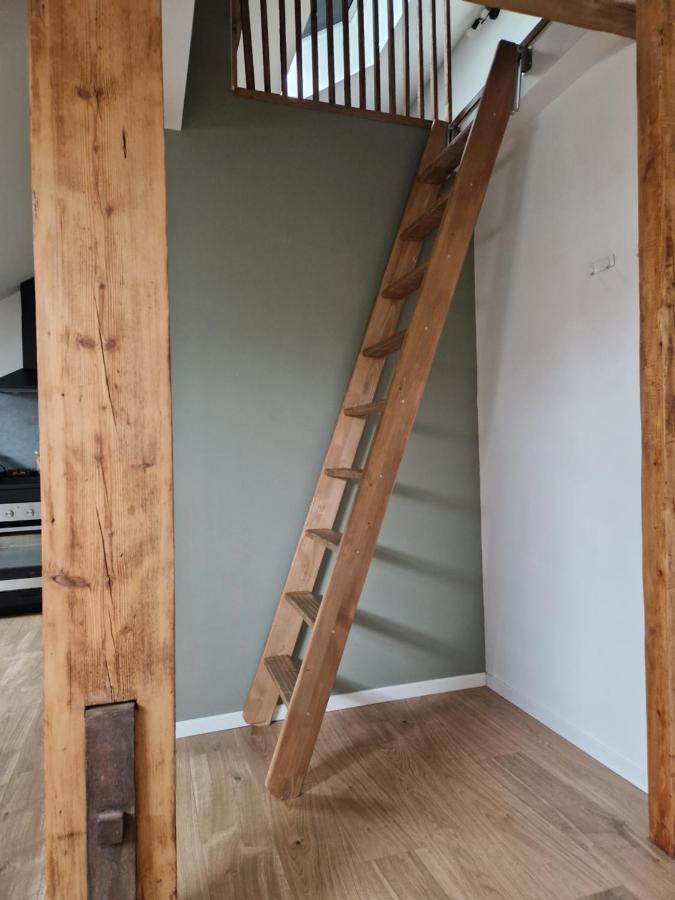 דיז'ון Les Appartements De Romain Et Julien מראה חיצוני תמונה