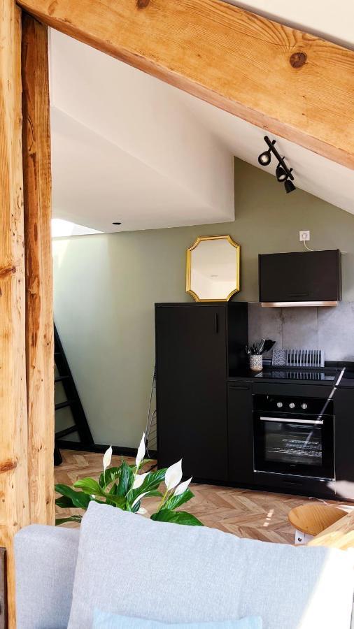 דיז'ון Les Appartements De Romain Et Julien מראה חיצוני תמונה