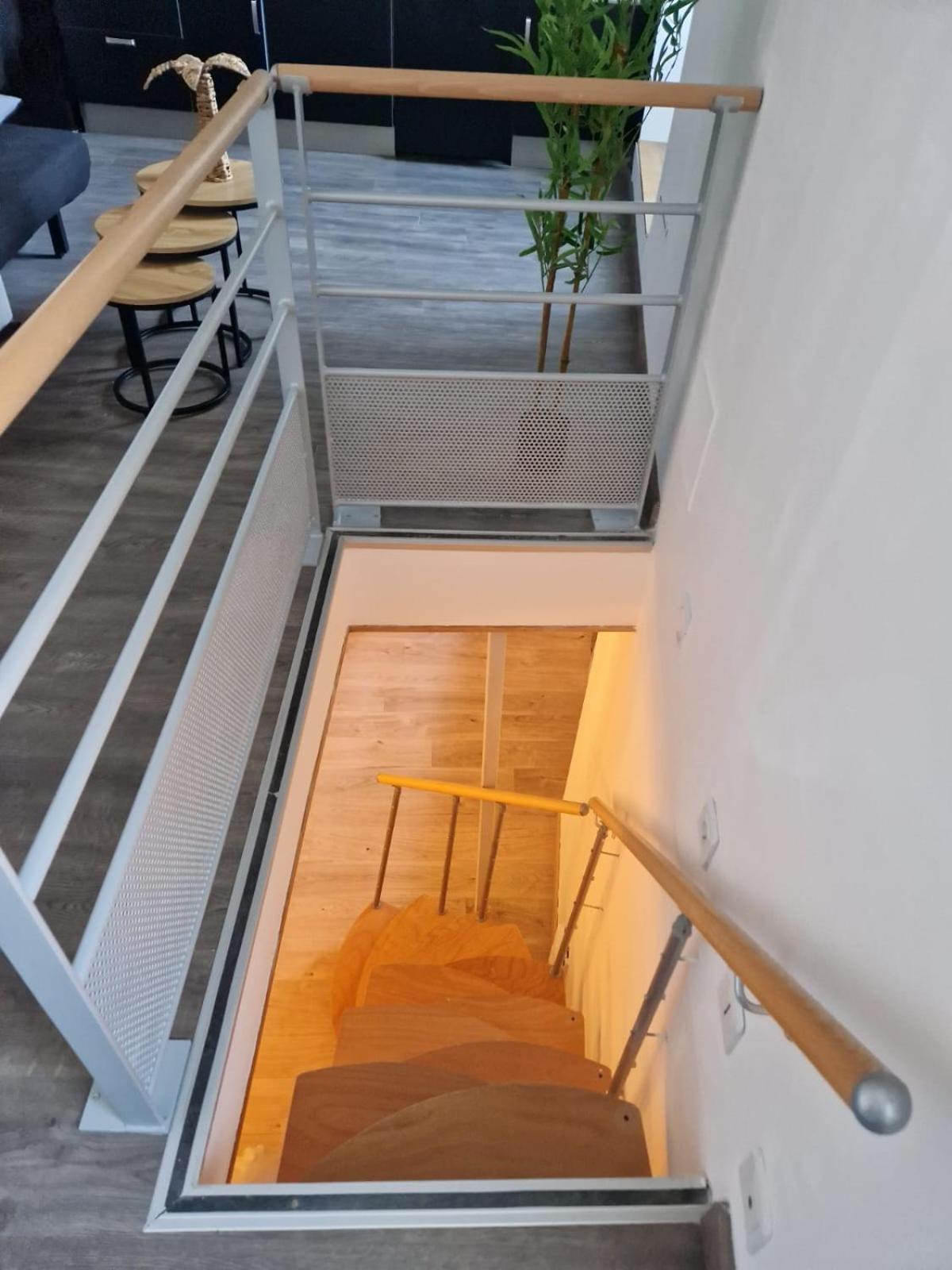 דיז'ון Les Appartements De Romain Et Julien מראה חיצוני תמונה