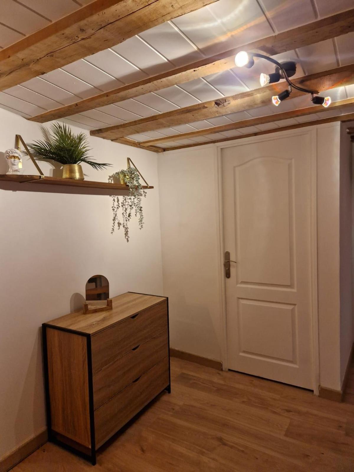 דיז'ון Les Appartements De Romain Et Julien מראה חיצוני תמונה