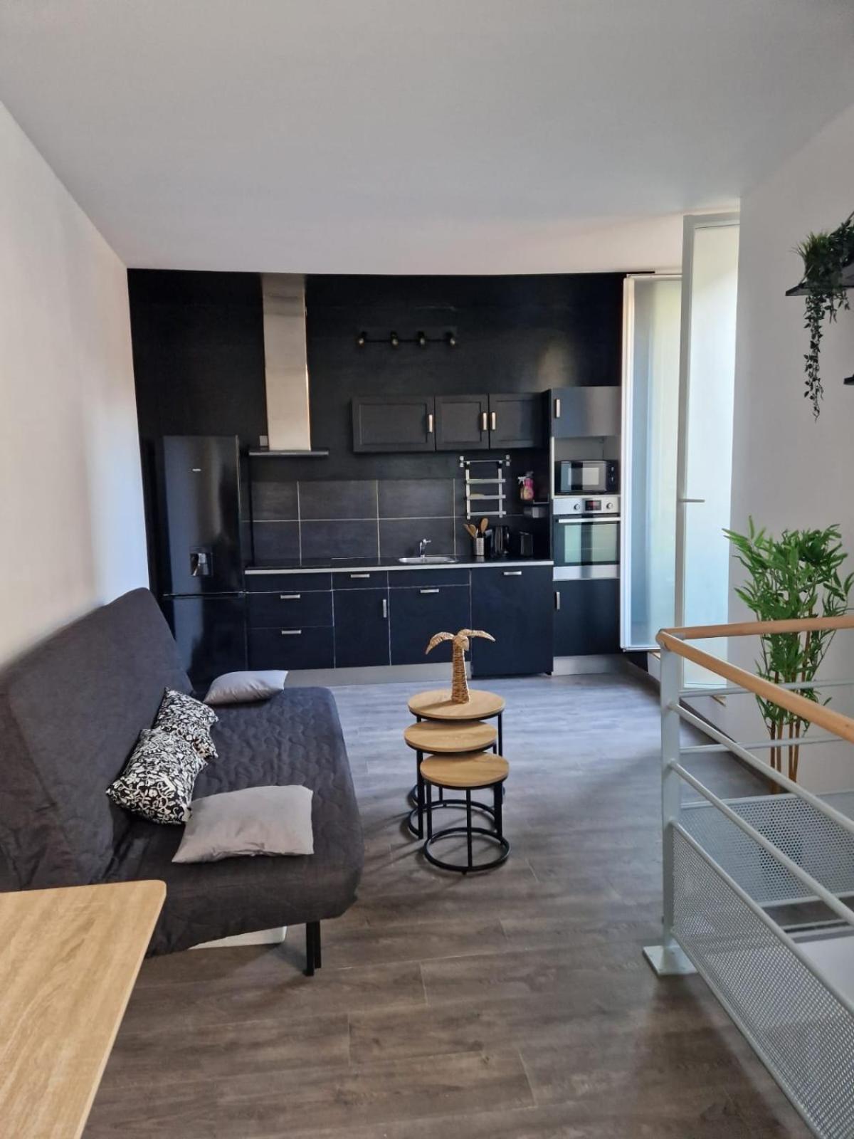 דיז'ון Les Appartements De Romain Et Julien מראה חיצוני תמונה