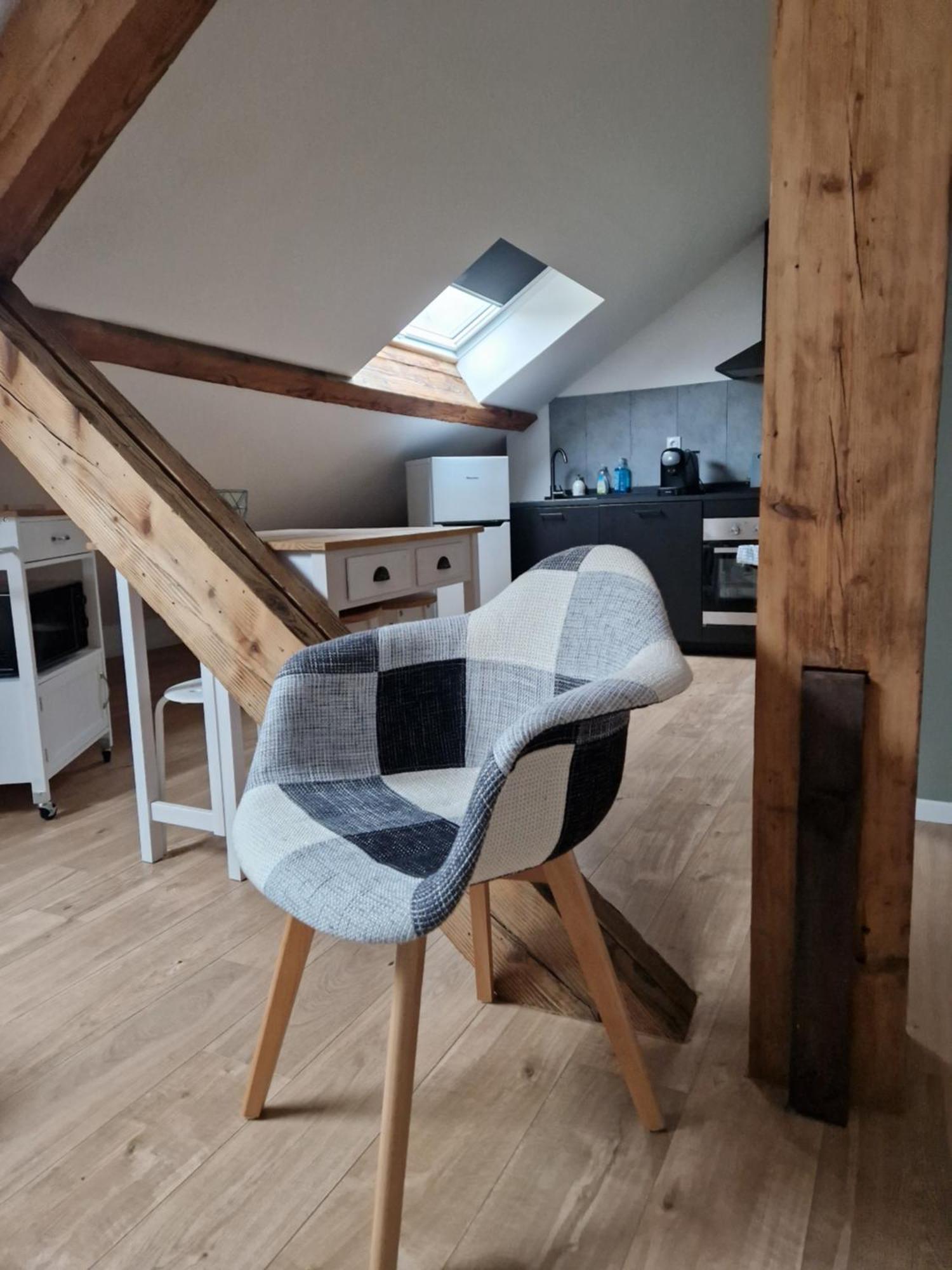 דיז'ון Les Appartements De Romain Et Julien מראה חיצוני תמונה