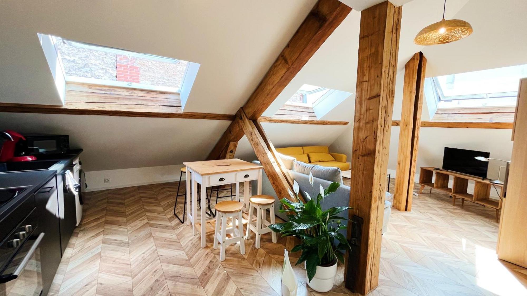 דיז'ון Les Appartements De Romain Et Julien מראה חיצוני תמונה
