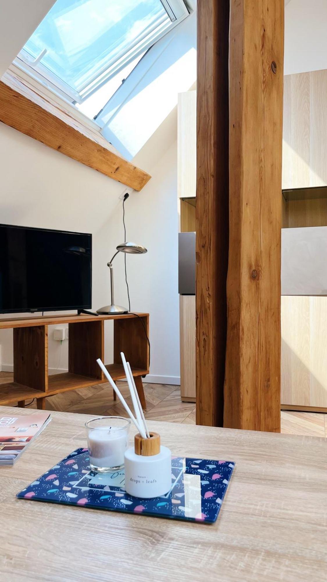 דיז'ון Les Appartements De Romain Et Julien מראה חיצוני תמונה