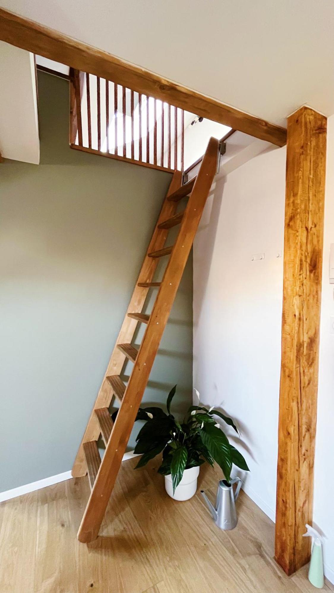 דיז'ון Les Appartements De Romain Et Julien מראה חיצוני תמונה