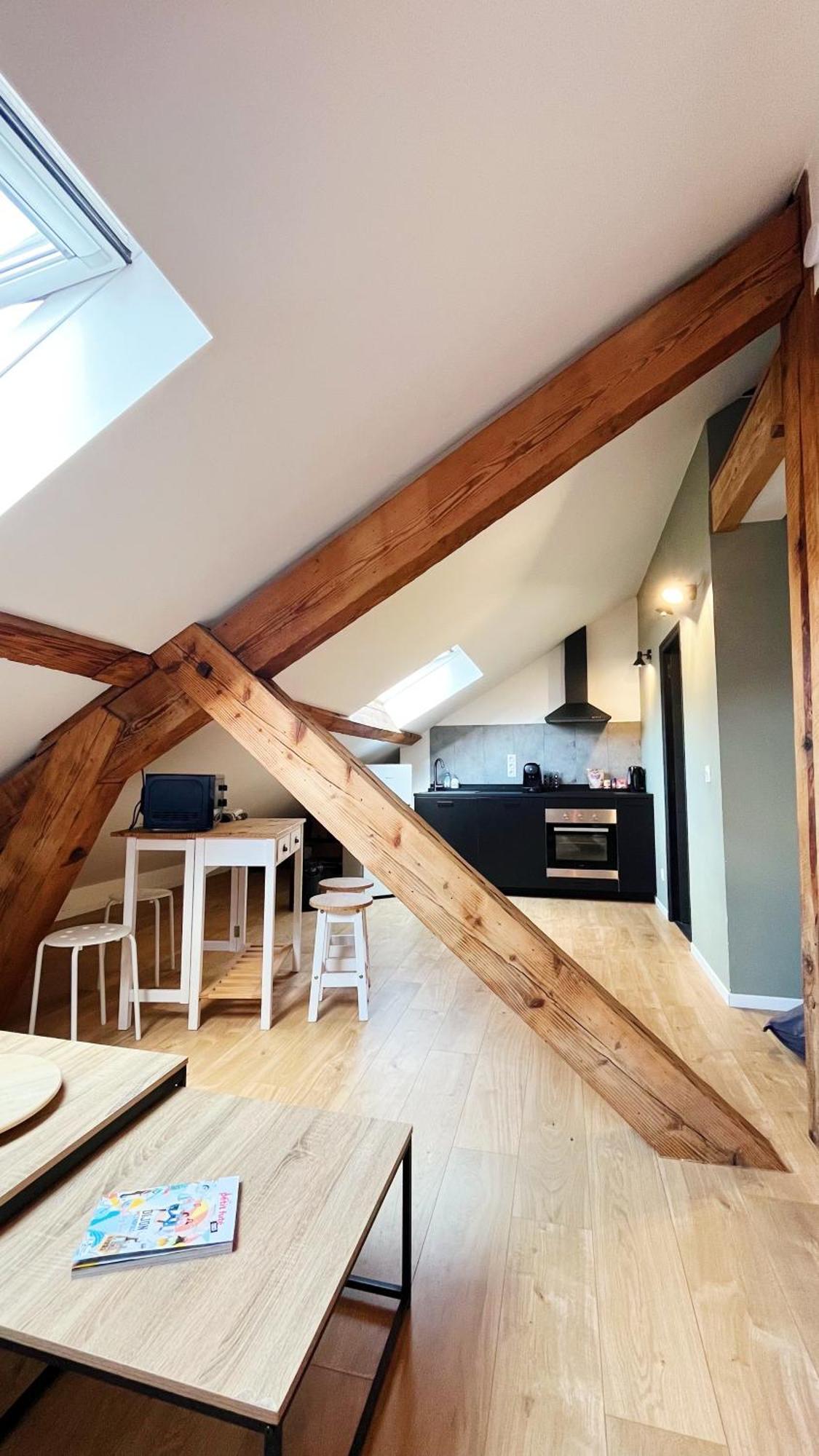 דיז'ון Les Appartements De Romain Et Julien מראה חיצוני תמונה