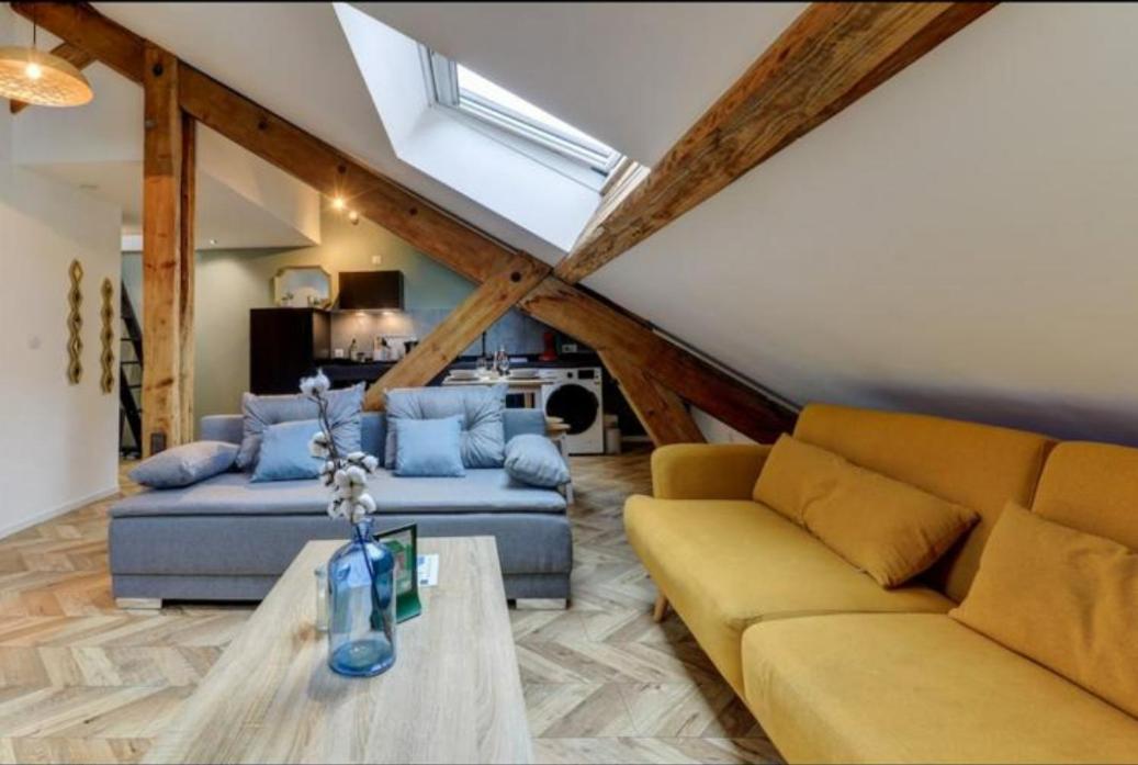 דיז'ון Les Appartements De Romain Et Julien מראה חיצוני תמונה
